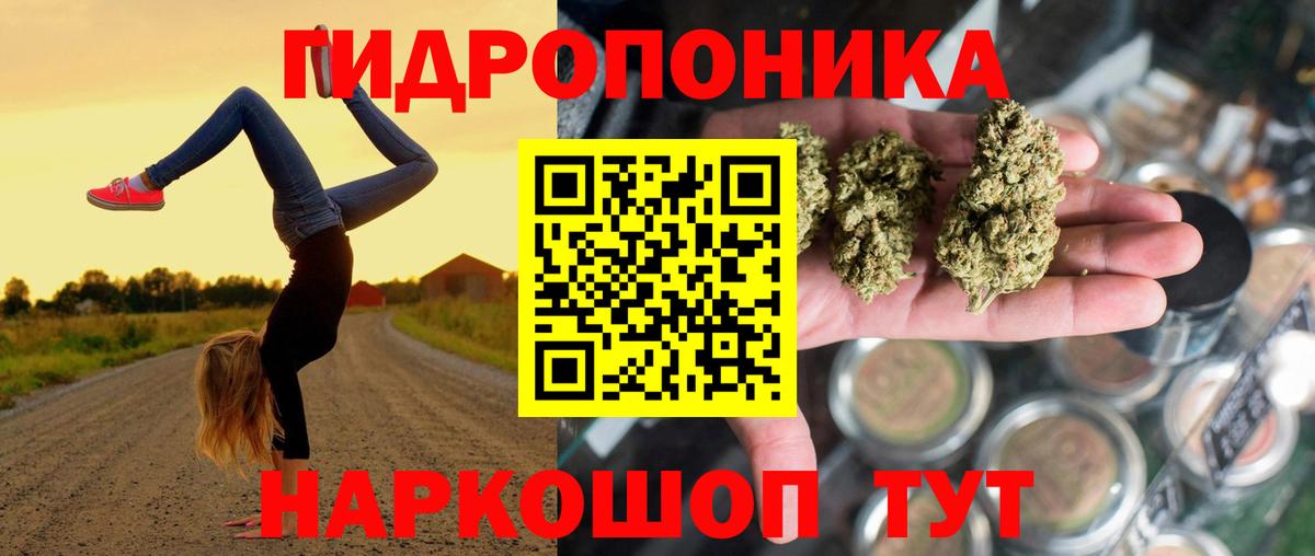 Бошки марихуана OG Kush  Канабис индика  Бошки марихуана марихуана  Югорск  Вход с VPN 